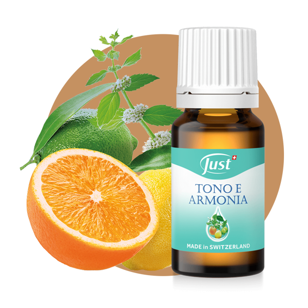 Just-In viaggio senza pensieri-Tono e armonia