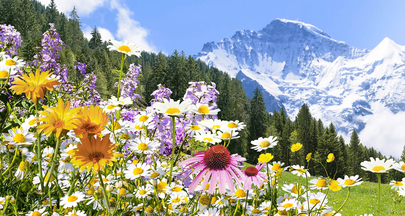 Prodotti per il benessere in armonia con la Natura