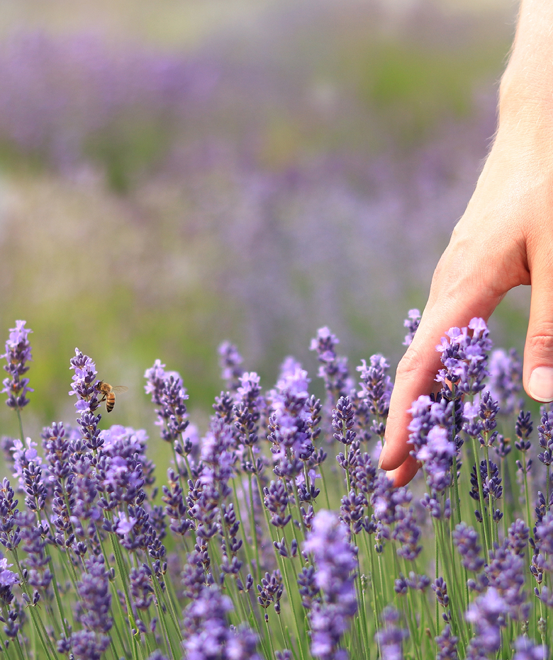Ogni passo di Just è un impegno che abbraccia la sostenibilità