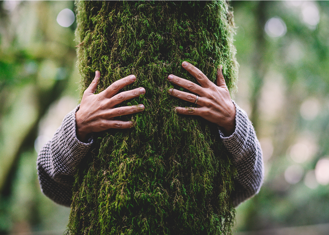 tutela-risorse-naturali